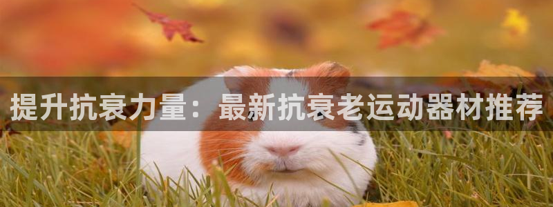 熊猫体育官网下载招商电话号码是多少：提升抗衰力量：最