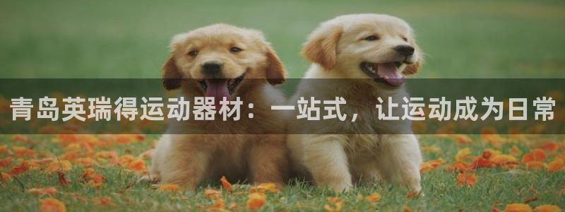 熊猫体育娱乐网站：青岛英瑞得运动器材：一站式，让运动成为日常