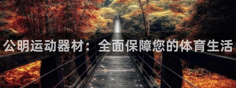 熊猫体育娱乐40996：公明运动器材：全面保障您的体育生活