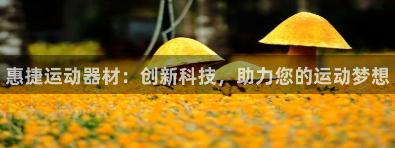 熊猫体育官网下载平台注册要钱吗是真的吗：惠捷运动器材