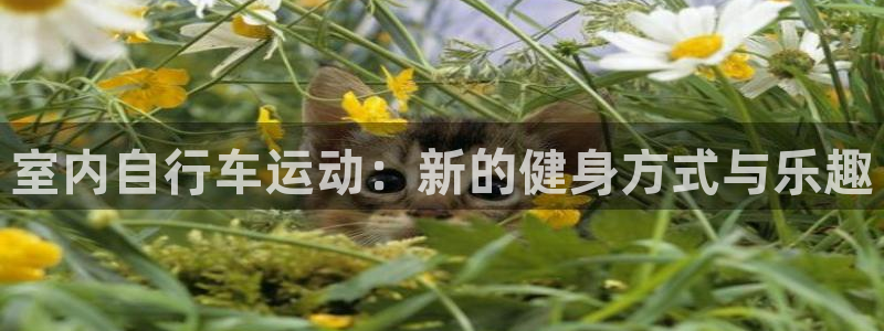 熊猫体育娱乐代理怎么样：室内自行车运动：新的健身方式