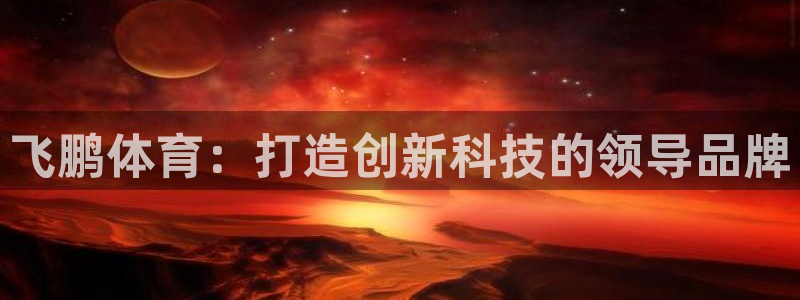熊猫体育官网下载官方客服电话：飞鹏体育：打造创新科技的领导品
