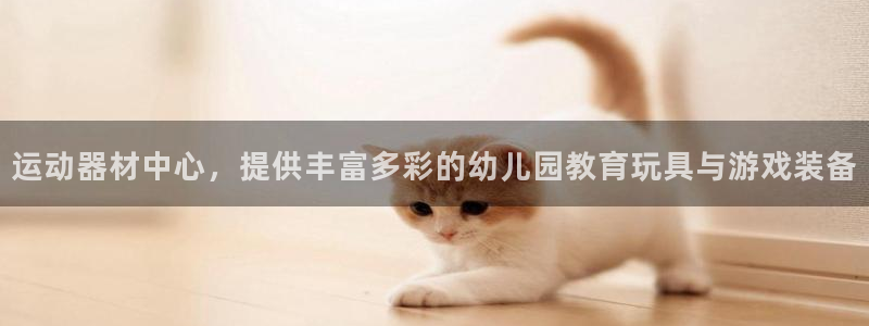 熊猫体育官网下载:运动器材中心,提供丰富多彩的幼儿园教育玩具