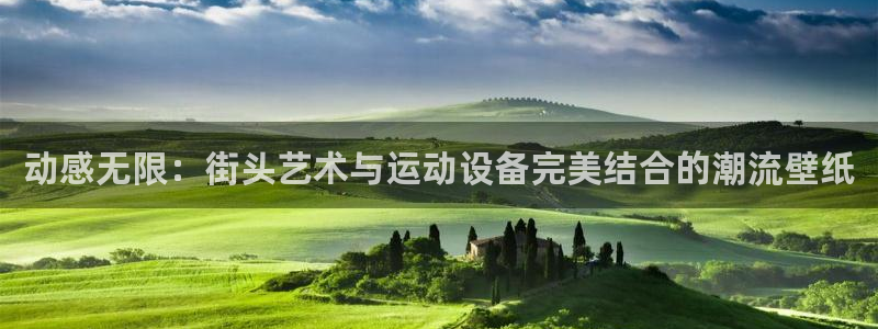 熊猫体育官网下载招商电话是多少啊：动感无限：街头艺术与运动设