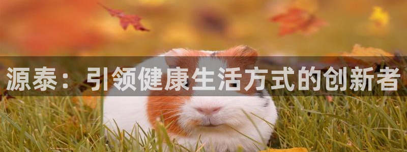 熊猫体育官网下载平台注册流程图：源泰：引领健康生活方